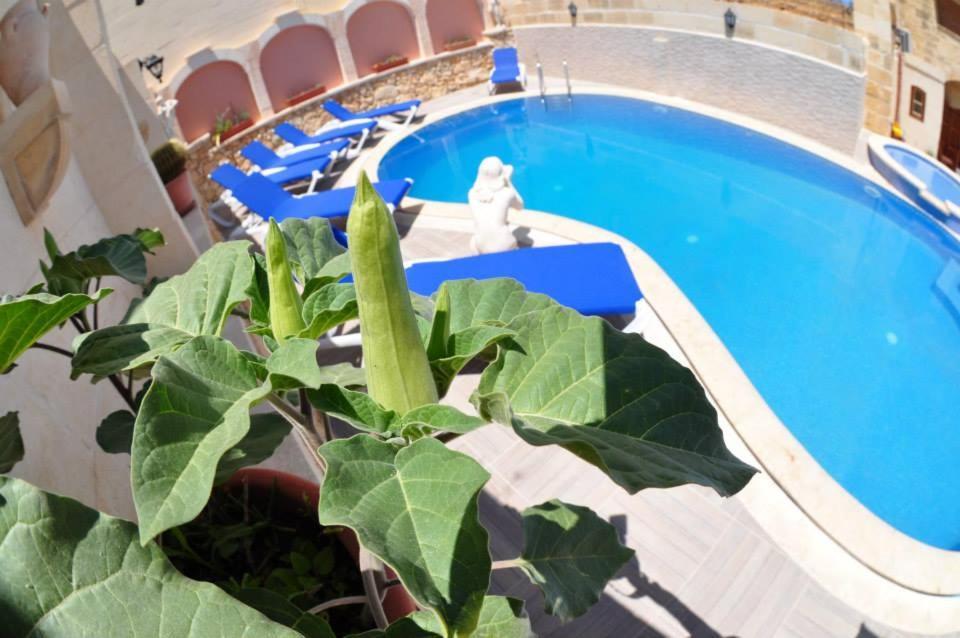 Holiday home 6 Bedroom With Large Private Pool
